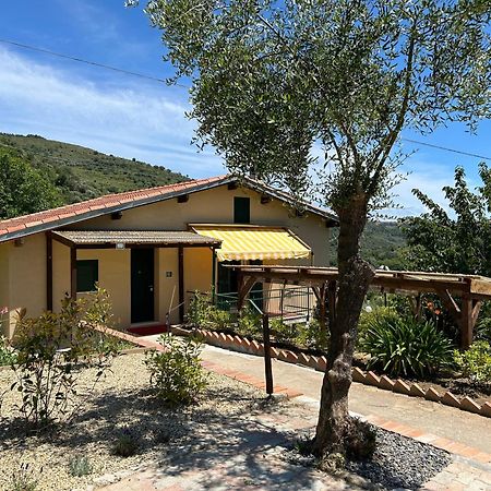 דירות Torre Paponi La Casa Negli Ulivi, Con Piscina מראה חיצוני תמונה