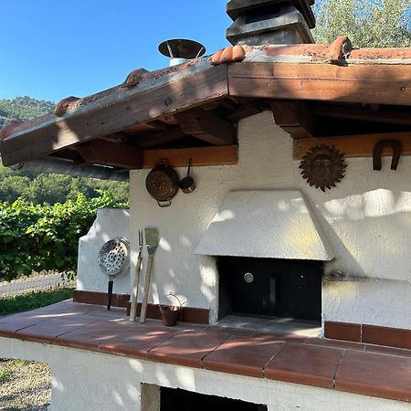 דירות Torre Paponi La Casa Negli Ulivi, Con Piscina מראה חיצוני תמונה