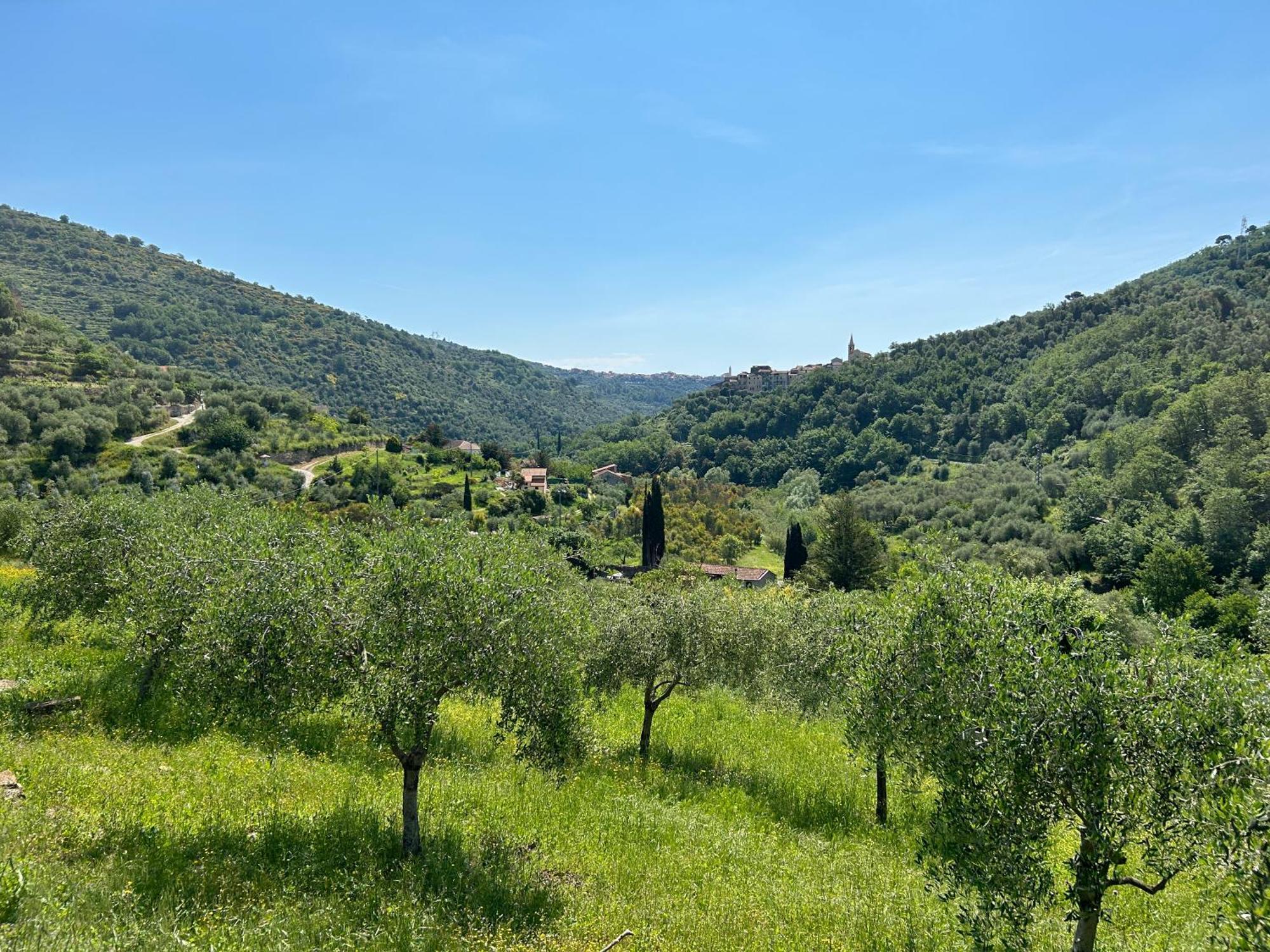 דירות Torre Paponi La Casa Negli Ulivi, Con Piscina מראה חיצוני תמונה