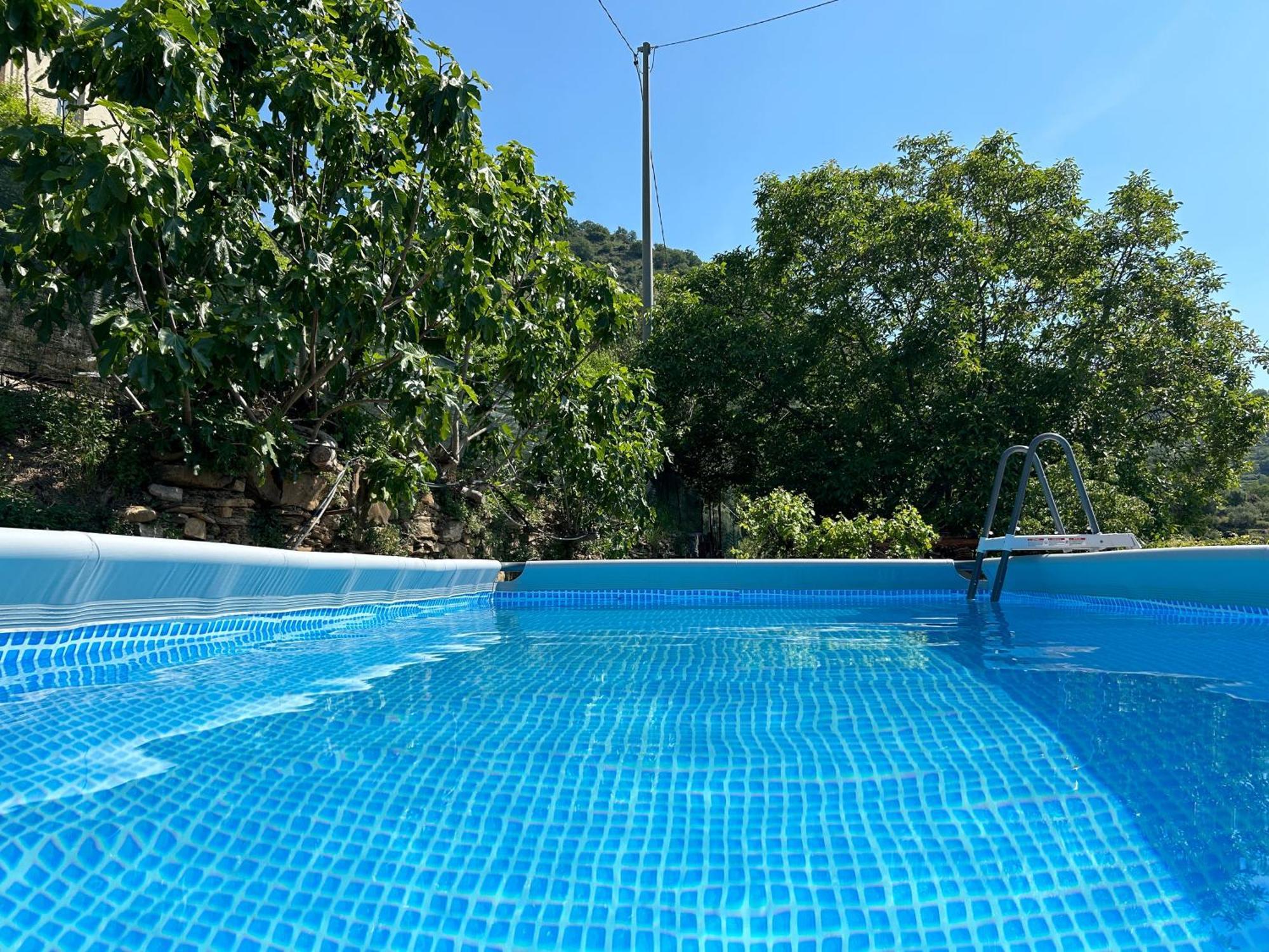 דירות Torre Paponi La Casa Negli Ulivi, Con Piscina מראה חיצוני תמונה